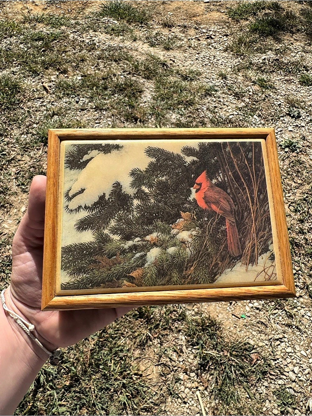 Vintage Framed Cardinal Bird wooden box